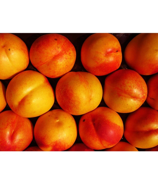 Nektarine 'Crimson Gold' 3 Nektarine 'Crimson Gold'