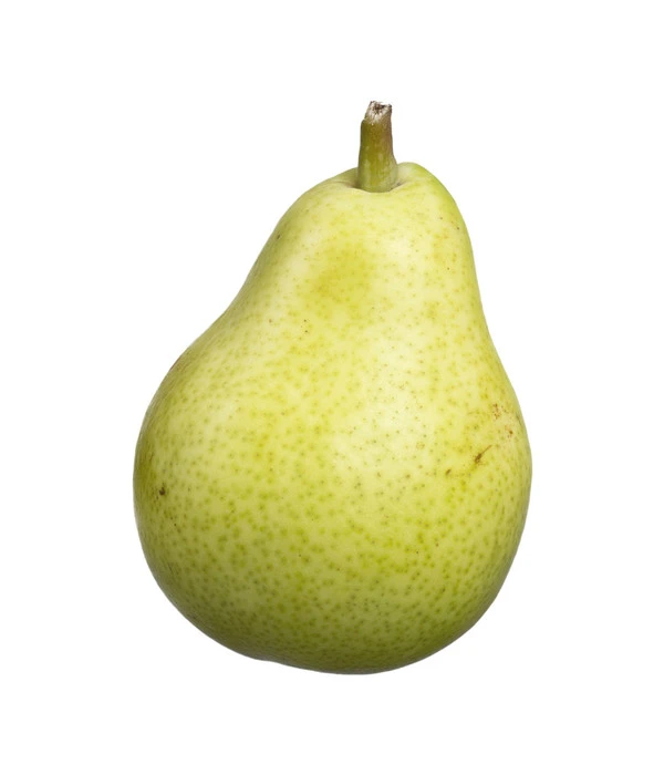 Säulenbirne 'Jeanne D'Arc' 4 Säulenbirne 'Jeanne D'Arc' – Bild 2