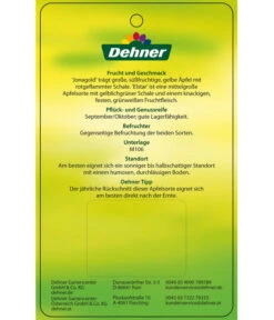 Apfel-Duo 'Jonagold'/'Elstar' 11 Apfel-Duo 'Jonagold'/'Elstar' -Garten Umfassend Geschäft 7639248 Apfel DuoJonagoldElstar Etikett 2