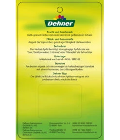 Herbstapfel 'Gravensteiner' 11 Herbstapfel 'Gravensteiner' -Garten Umfassend Geschäft 7657398 HerbstapfelGravensteiner Etikett 2