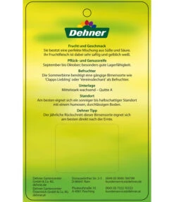 Sommerbirne 'Gute Luise' -Garten Umfassend Geschäft 7658578 SommerbirneGuteLuise Etikett 2