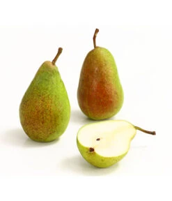 Sommerbirne 'Gute Luise' -Garten Umfassend Geschäft 7658578 WE DE 006 BirneGuteLuiseDehnerExpressHerzig