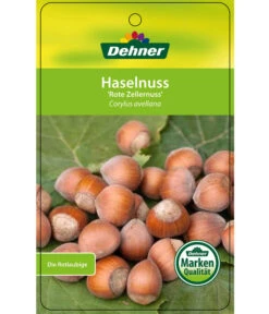 Dehner Haselnuss 'Rote Zellernuss' -Garten Umfassend Geschäft 7663073 HaselnussRoteZellernuss Etikett 1