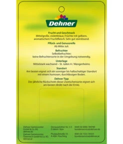 Zwetschge 'Katinka' -Garten Umfassend Geschäft 7693252 ZwetscheKatinka Etikett 2