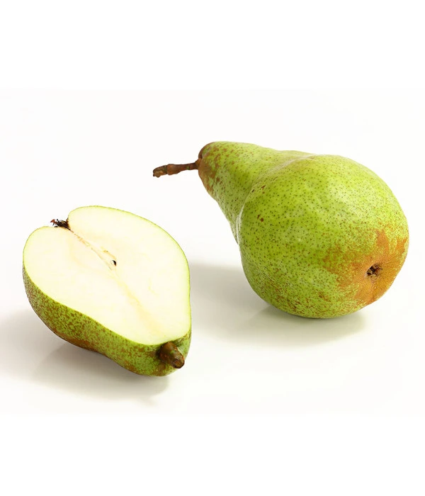 Winterbirne 'Novembra' 5 Winterbirne 'Novembra' – Bild 3