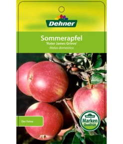 Sommerapfel 'Roter James Grieve' 10 Sommerapfel 'Roter James Grieve' -Garten Umfassend Geschäft 7745730 SommerapfelRoterJamesGrieve Etikett 1