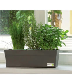 GREENBAR® Wasserstandsanzeiger -Garten Umfassend Geschäft 7750482 PR MO 001 GreenbarAnleitungIndoorSeidl 1