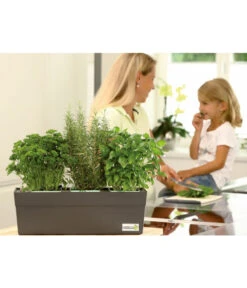 GREENBAR® Ersatzvlies, 3er-Pack -Garten Umfassend Geschäft 7750482 PR MO 003 GreenbarAnleitungIndoorSeidl