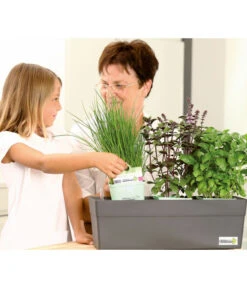 GREENBAR® Naschtomate -Garten Umfassend Geschäft 7750482 WE MO 009 GreenbarAnleitungIndoor