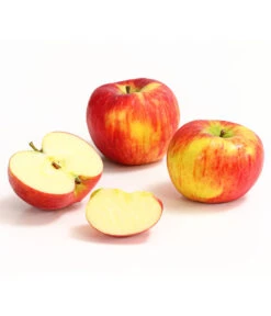 Herbstapfel 'Topaz' -Garten Umfassend Geschäft 7763931 WE DE 008 ApfelTopazDehnerExpressHerzig