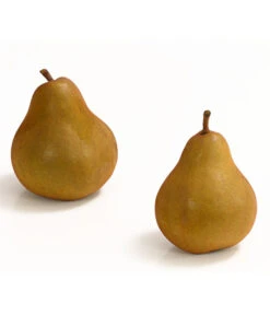 Winterbirne 'Uta' 7 Winterbirne 'Uta' -Garten Umfassend Geschäft 7769854 WE DE 003 BirneUtaDehnerExpressHerzig