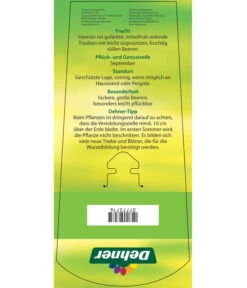 Tafeltraube 'Katharina' 10 Tafeltraube 'Katharina' -Garten Umfassend Geschäft 7773716 TafeltraubeKatharina Etikett 2