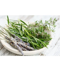 Dehner Gourmet Garten Hänge-Rosmarin -Garten Umfassend Geschäft 8035750 WE MO 001 RosmarinCapriPixabay