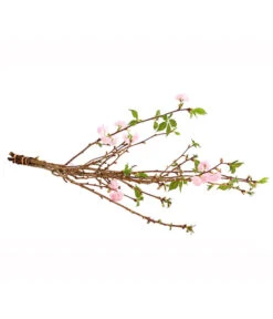 Japanische Kirschzweige, Ca. 80-100 Cm 7 Japanische Kirschzweige, Ca. 80-100 Cm -Garten Umfassend Geschäft 8149015 WE FS 001 JapanischeKirscheBundDehnerExpressHerzig