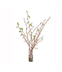 Japanische Kirschzweige, Ca. 80-100 Cm 8 Japanische Kirschzweige, Ca. 80-100 Cm -Garten Umfassend Geschäft 8149015 WE FS 002 JapanischeKirscheBundDehnerExpressHerzig