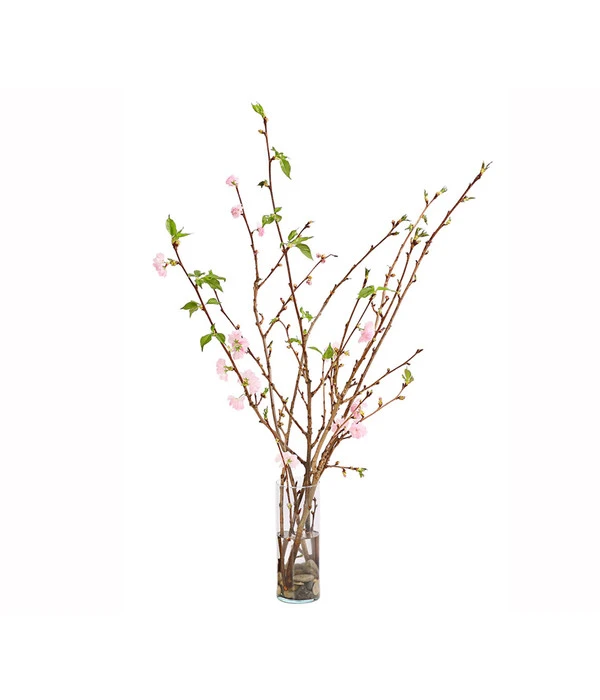 Japanische Kirschzweige, Ca. 80-100 Cm 5 Japanische Kirschzweige, Ca. 80-100 Cm – Bild 3