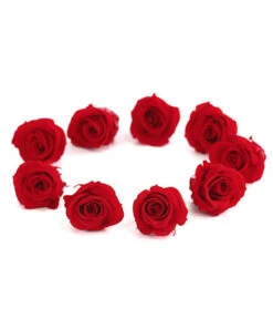 Longlife-Rose, Ca. Ø3 Cm