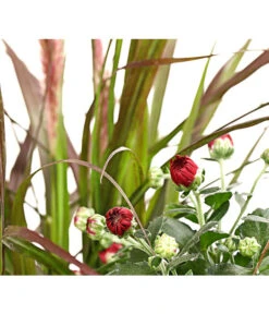 Herbst-Chrysantheme Mit Gras Im Blumenkasten, Verschiedene Farben 20 Herbst-Chrysantheme Mit Gras Im Blumenkasten, Verschiedene Farben -Garten Umfassend Geschäft 8213217 PR DE 002 ChrysanthemeMulitfloraMitGrasKastenDehnerExpressHerzig