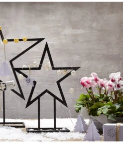 Alpenveilchen, Gefranst -Garten Umfassend Geschäft 8217473 WE MO 028 Weihnachtsshooting 2015