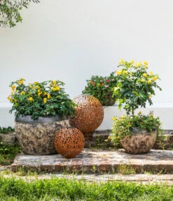 Gewürzrinde, Busch -Garten Umfassend Geschäft 8584583 8584138 8584153 WE MO 002 PortulacSchale GC08 2022