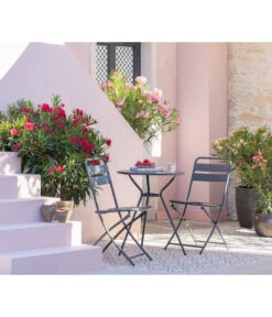 XXL Oleander, Verschiedene Sorten, Ca. 130-150 Cm -Garten Umfassend Geschäft 8596900 WE MO 001 Oleander