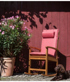XXL Oleander, Verschiedene Sorten, Ca. 130-150 Cm -Garten Umfassend Geschäft 8596900 WE MO 002 OleanderSolitaerDehnerSchaukelstuhlDakota