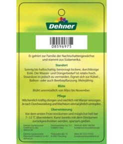 Enzianstrauch, Busch -Garten Umfassend Geschäft 8596975 BlauerEnzianstrauch Etikett 2