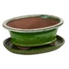 Dehner Keramik-Bonsaischale, Oval, Hellgrün/beige -Garten Umfassend Geschäft 8732158 WE FS 001 SchalensortimentBonsai GruenBeigeGr 3