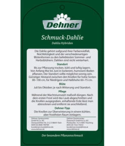 Dehner Premium Dahlie -Garten Umfassend Geschäft 8822462 Schmuck Dahlie Etikett 2