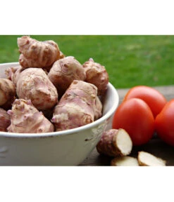 Topinambur -Garten Umfassend Geschäft 8830184 PR MO 001 TopinamburPixabay