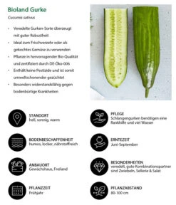Bioland Gurke, Veredelt -Garten Umfassend Geschäft 8830853 WE IG 001 BiolandGurke