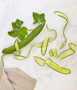 Bioland Gurke, Veredelt -Garten Umfassend Geschäft 8830853 WE MO 001 SchlangengurkeveredeltRenner