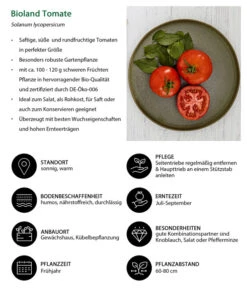 Bioland Tomate, Rundfruchtig 9 Bioland Tomate, Rundfruchtig -Garten Umfassend Geschäft 8842619 WE IG 001 BiolandTomate