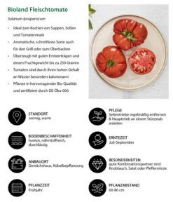 Bioland Fleischtomate -Garten Umfassend Geschäft 8842627 WE IG 001 BiolandFleischtomate