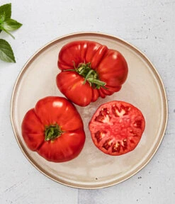 Bioland Fleischtomate -Garten Umfassend Geschäft 8842627 WE MO 001 BiolandFleischtomate