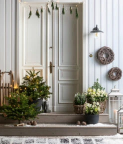 Dehner Kranz Weinrebe Frost, Ca. Ø48 Cm -Garten Umfassend Geschäft 8996100 8014870 8014557 8014722 8014847 WE MO 001 AbiesNordmannianaHolzkreuzWeihnachtsbaeume